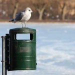 vartecken_pappersko_567749d