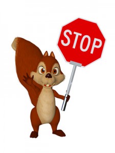 cartoon squirrel with STOP Sign