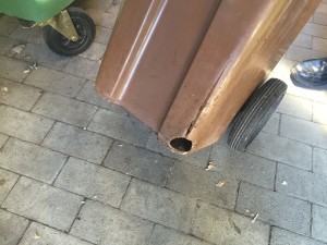 IMG_1040